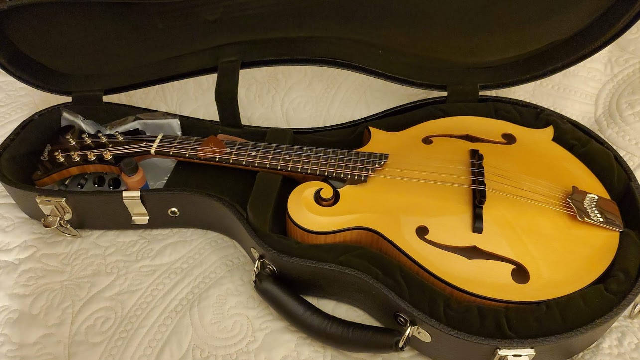 Jason's main mandolin - a honey amber Collings MF.